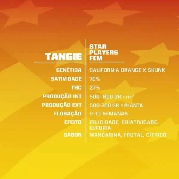 Tangie Bsf 2