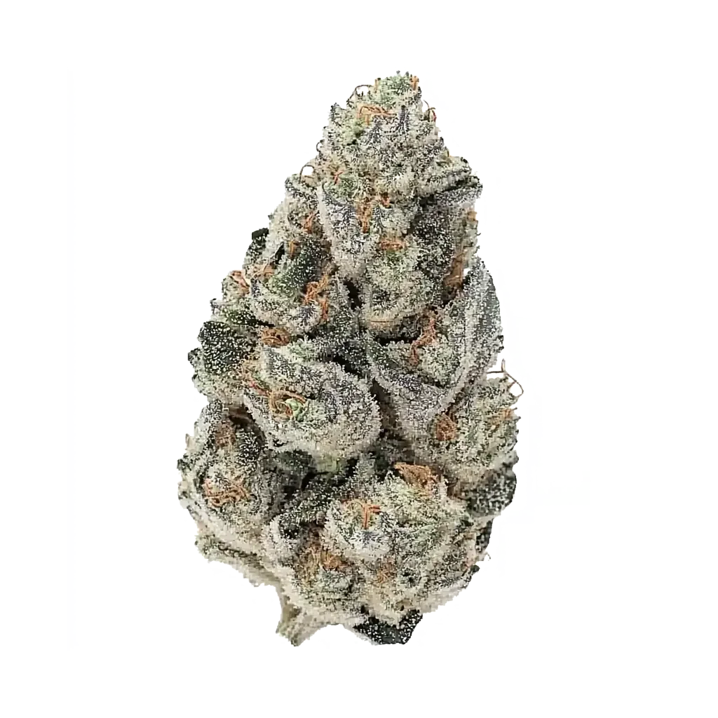 White Cherry 3