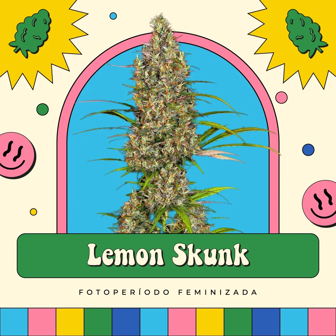 Lemon Skunk