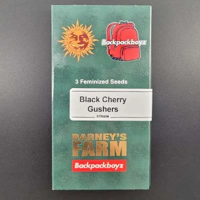 Black Cherry Gushers 3