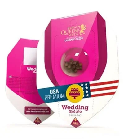 Wedding Gelato 5