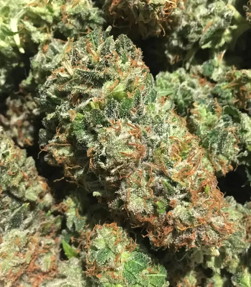 Strawberry Mango 2