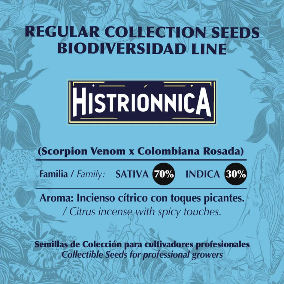 Histrionnica 2