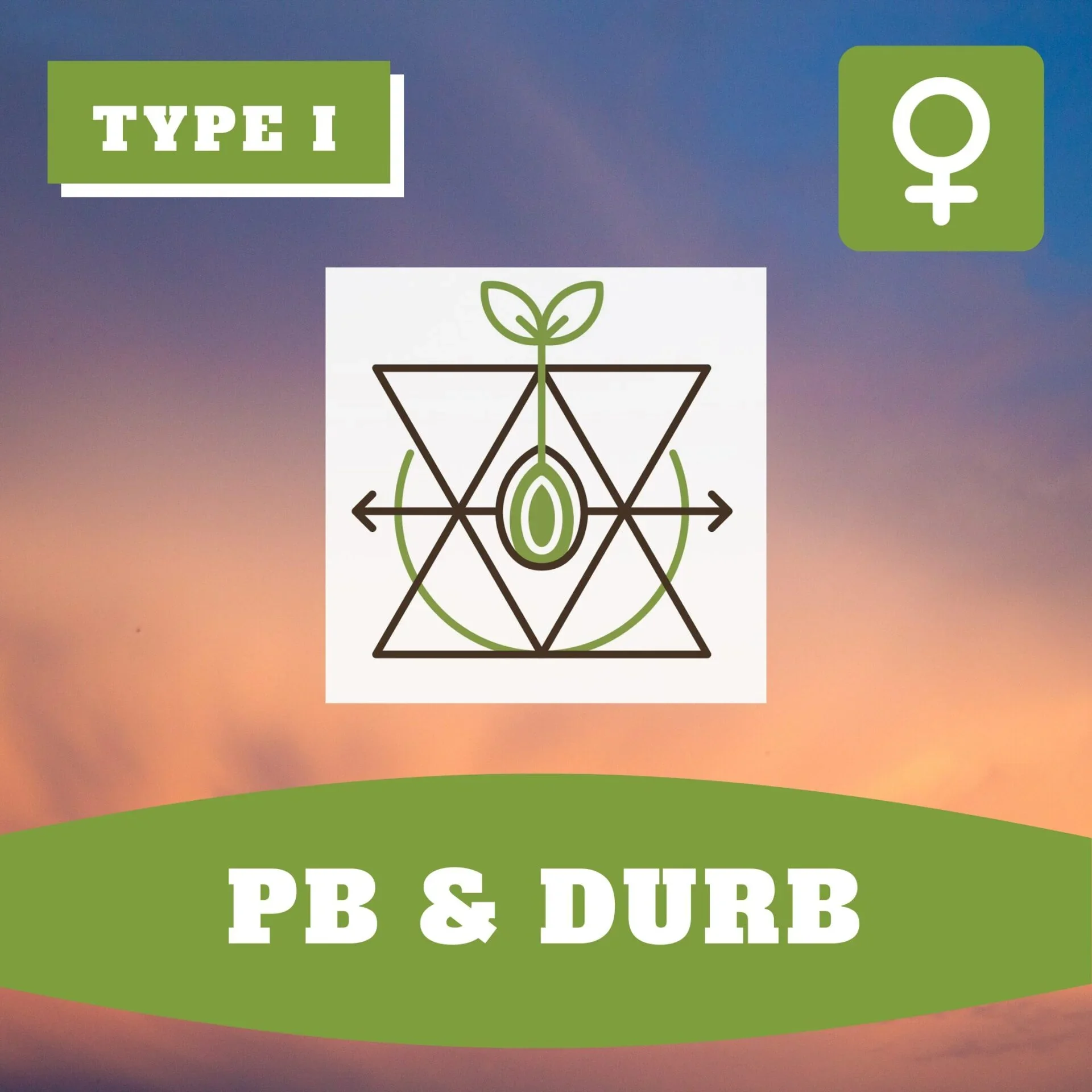 Pb Durb Thcv