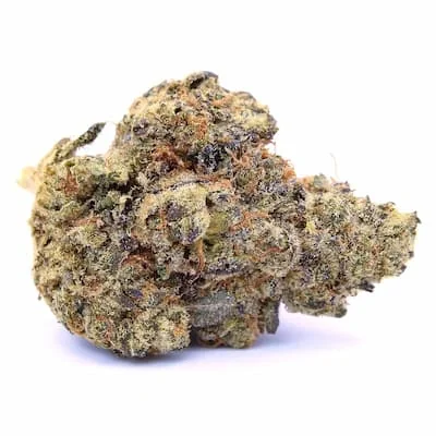 Lemon Bean 2