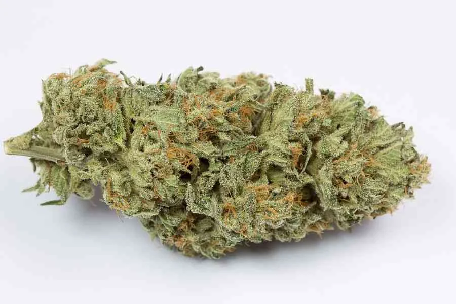 Bubba Kush 4