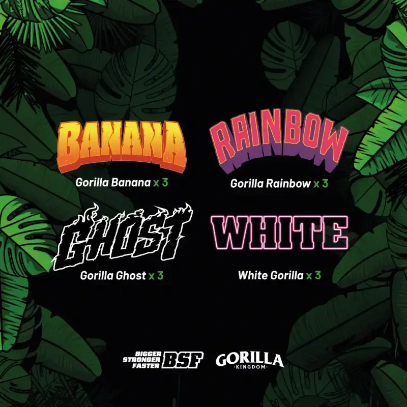 Gorilla Familia 2