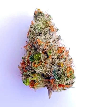 Fat Banana 2