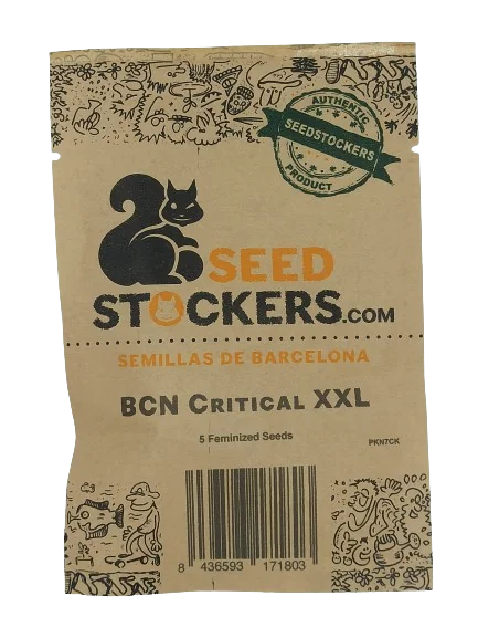 Bcn Critical Xxl 2