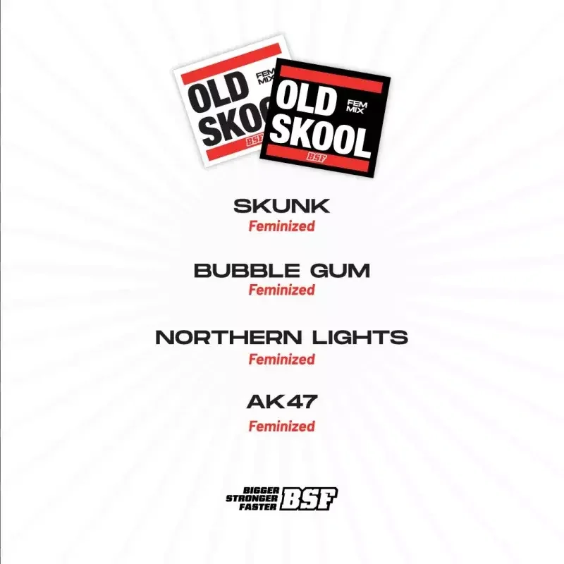 Old Skool Mix 3