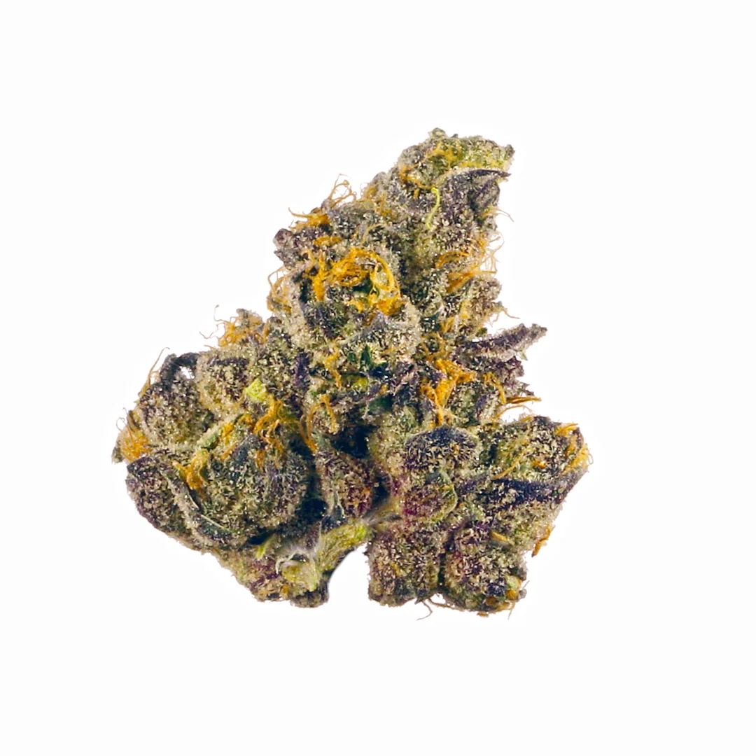 Orange Sherbert