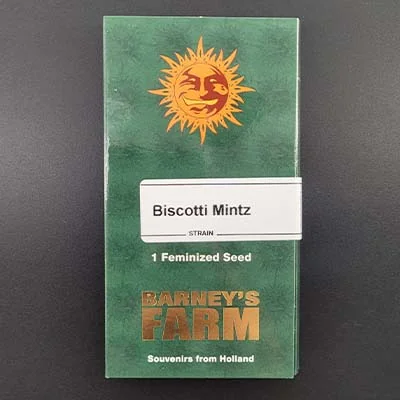 Biscotti Mintz 4
