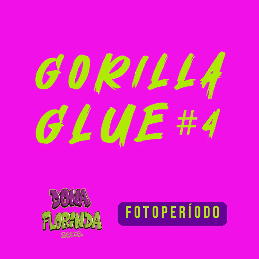Gorilla Glue 4