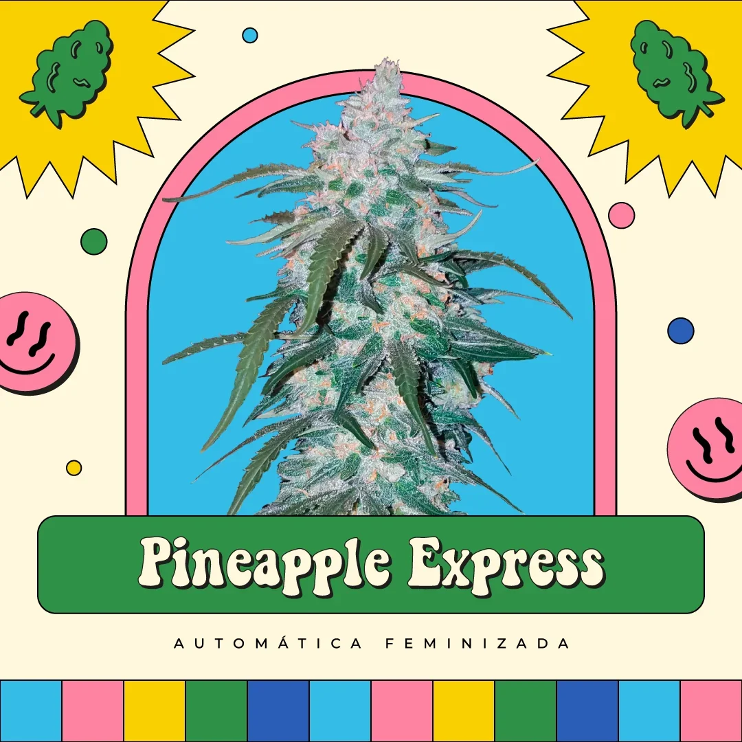 Pineapple Express
