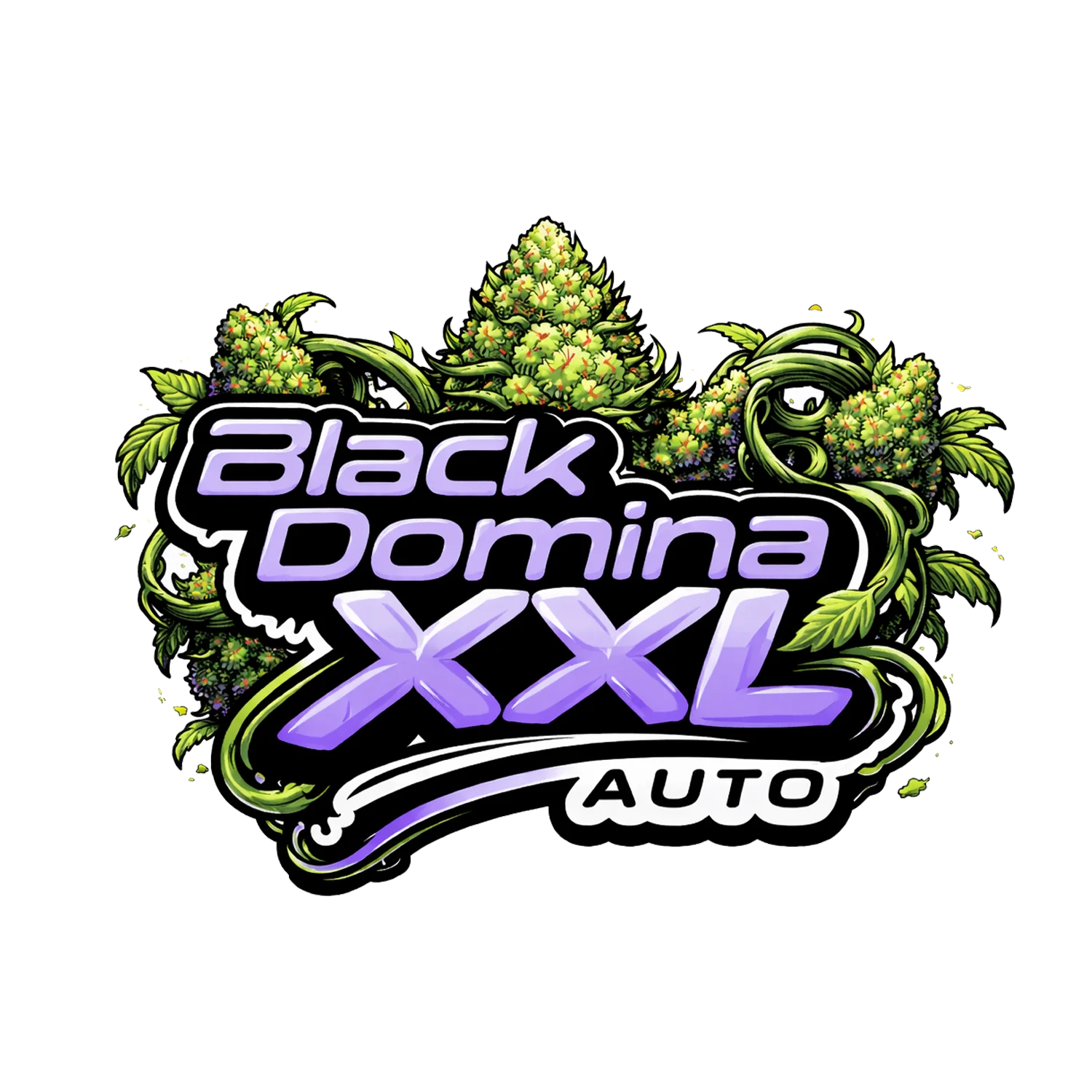 Black Domina 4