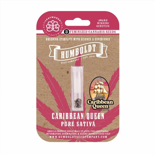 Caribbean Queen 3