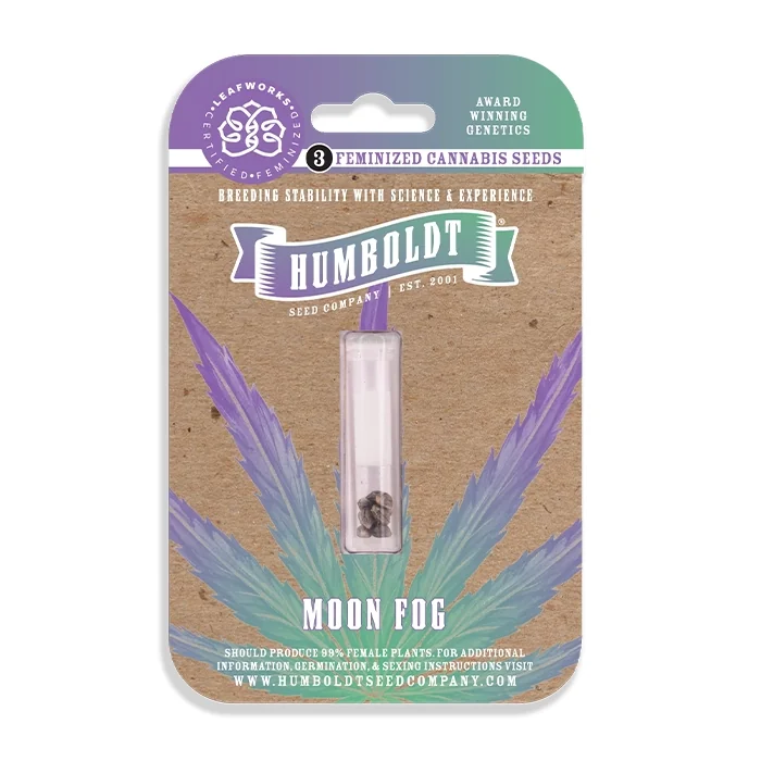 Moon Fog 2