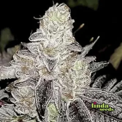 Wedding Cake 4