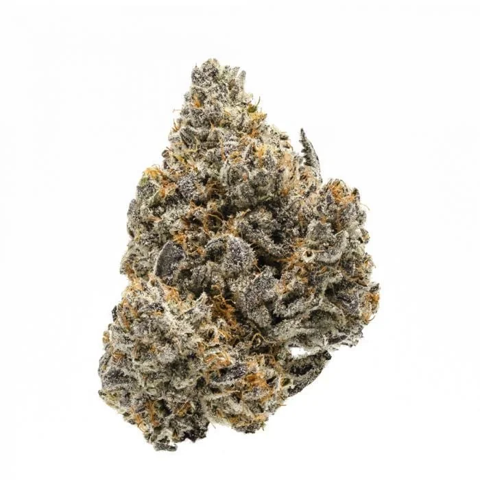 Rainbow Sherbet 2