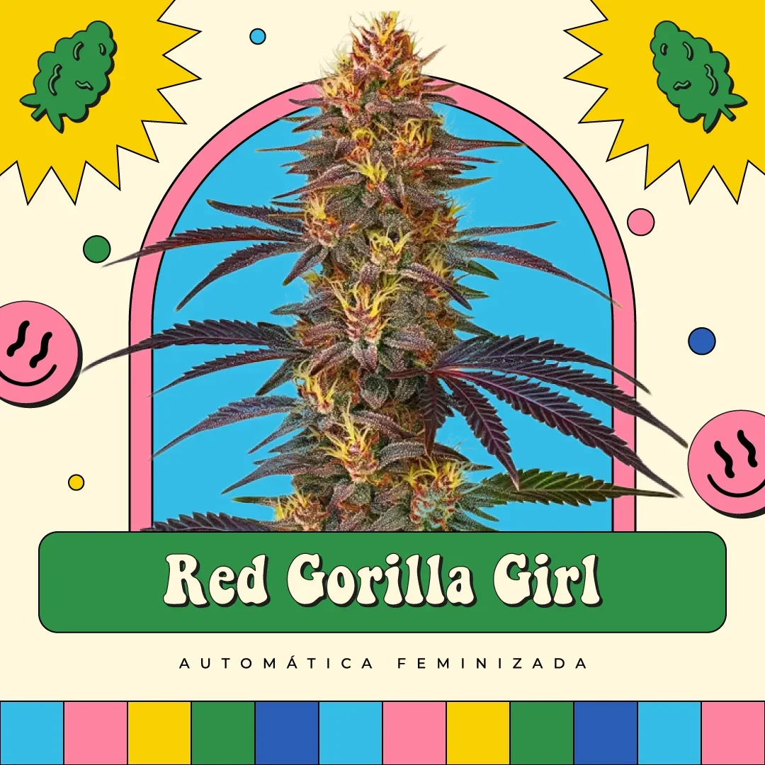 Gorilla Girl