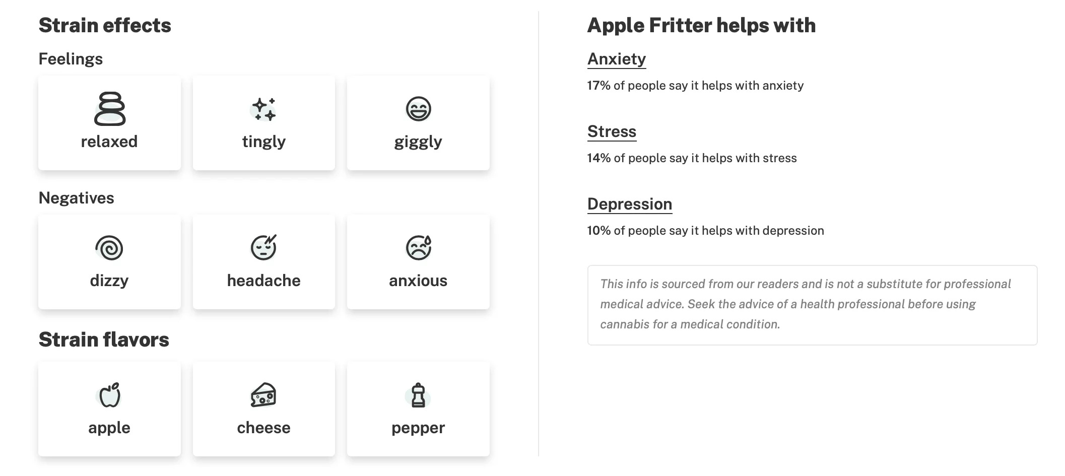 Apple Fritter