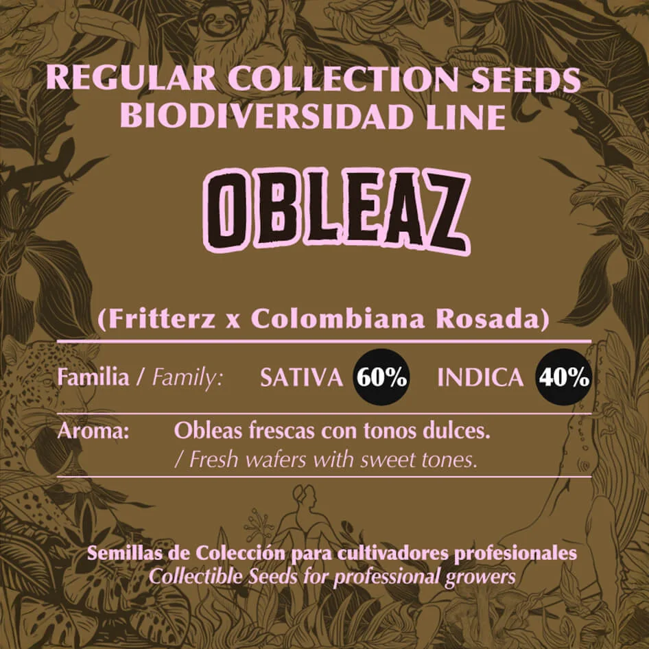 Obleaz 2
