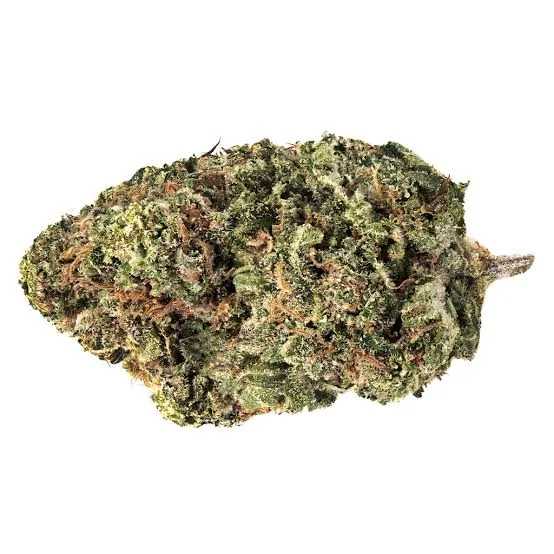Jack Haze 3
