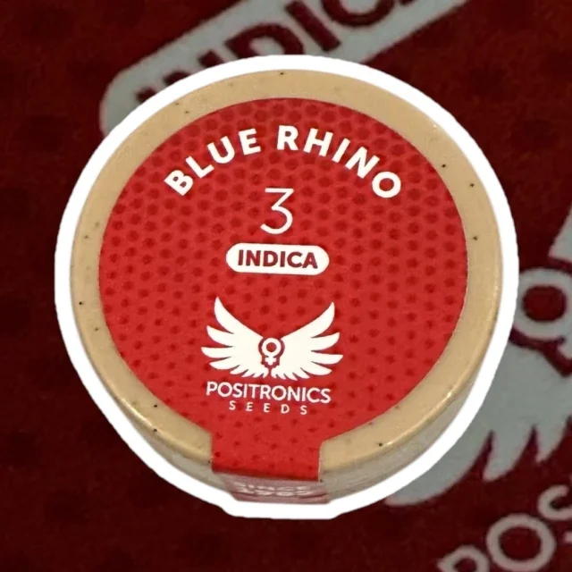 Blue Rhino