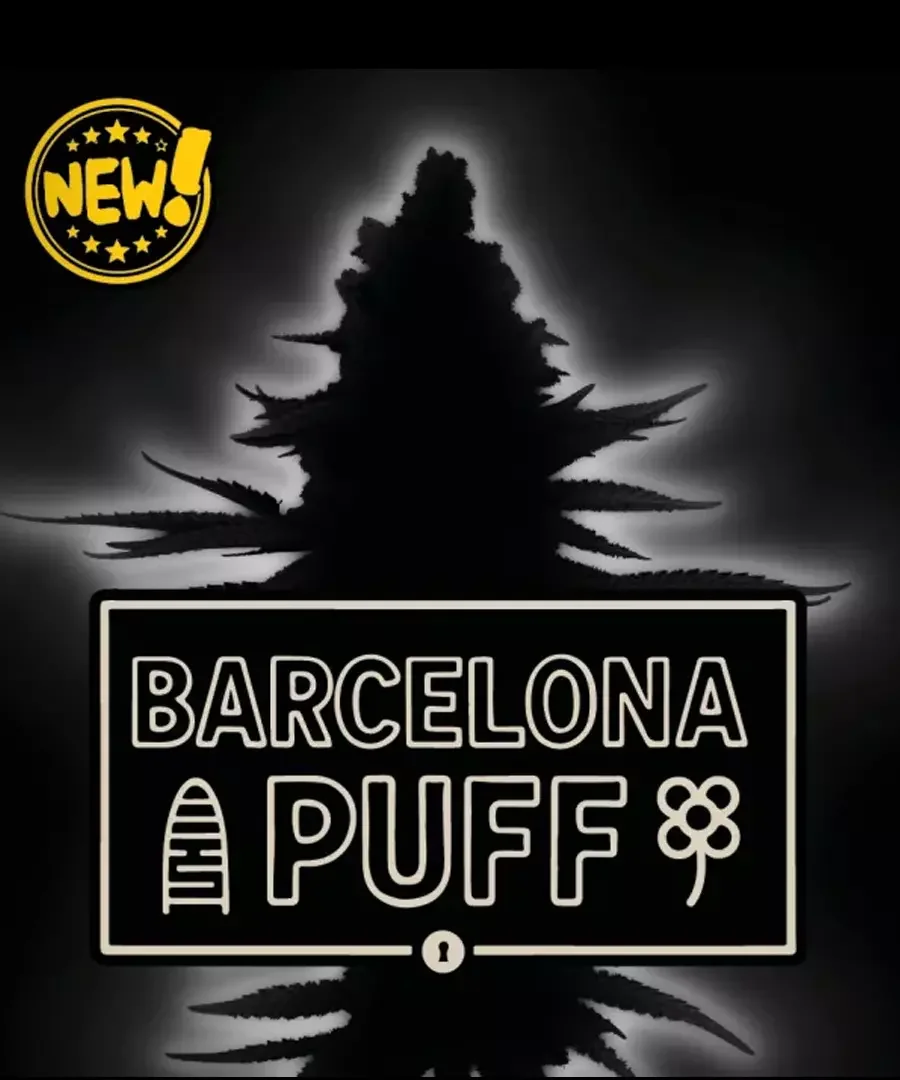 Barcelona Puff 5