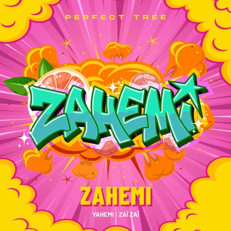 Zahemi 4