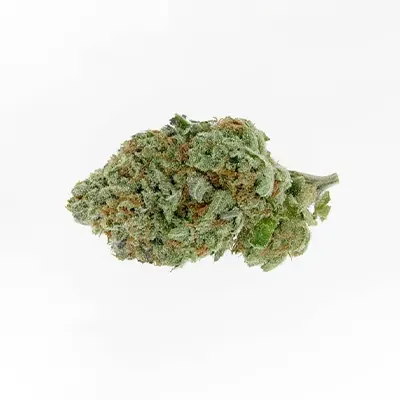 Alien Og 4