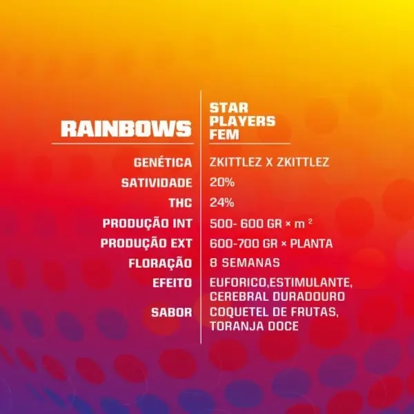 Rainbows Bsf 3