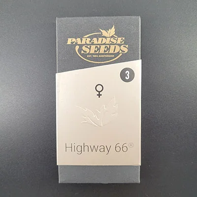 Highway 66 3