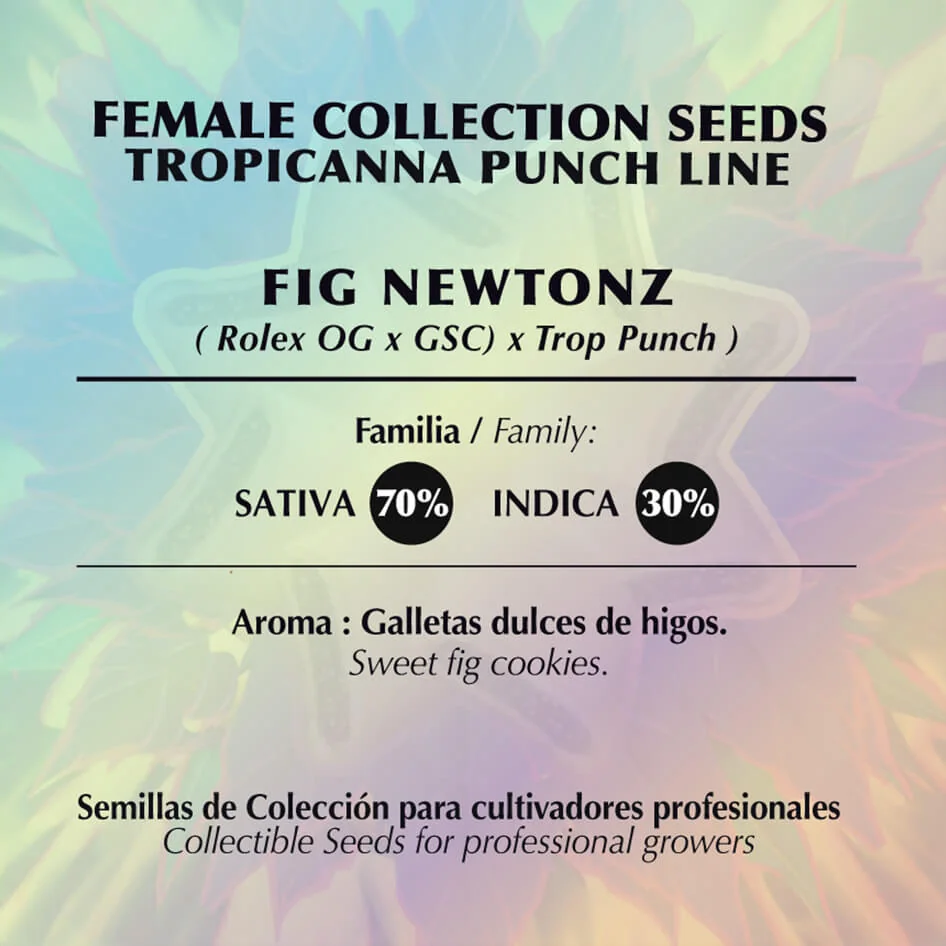 Fig Newtonz 2