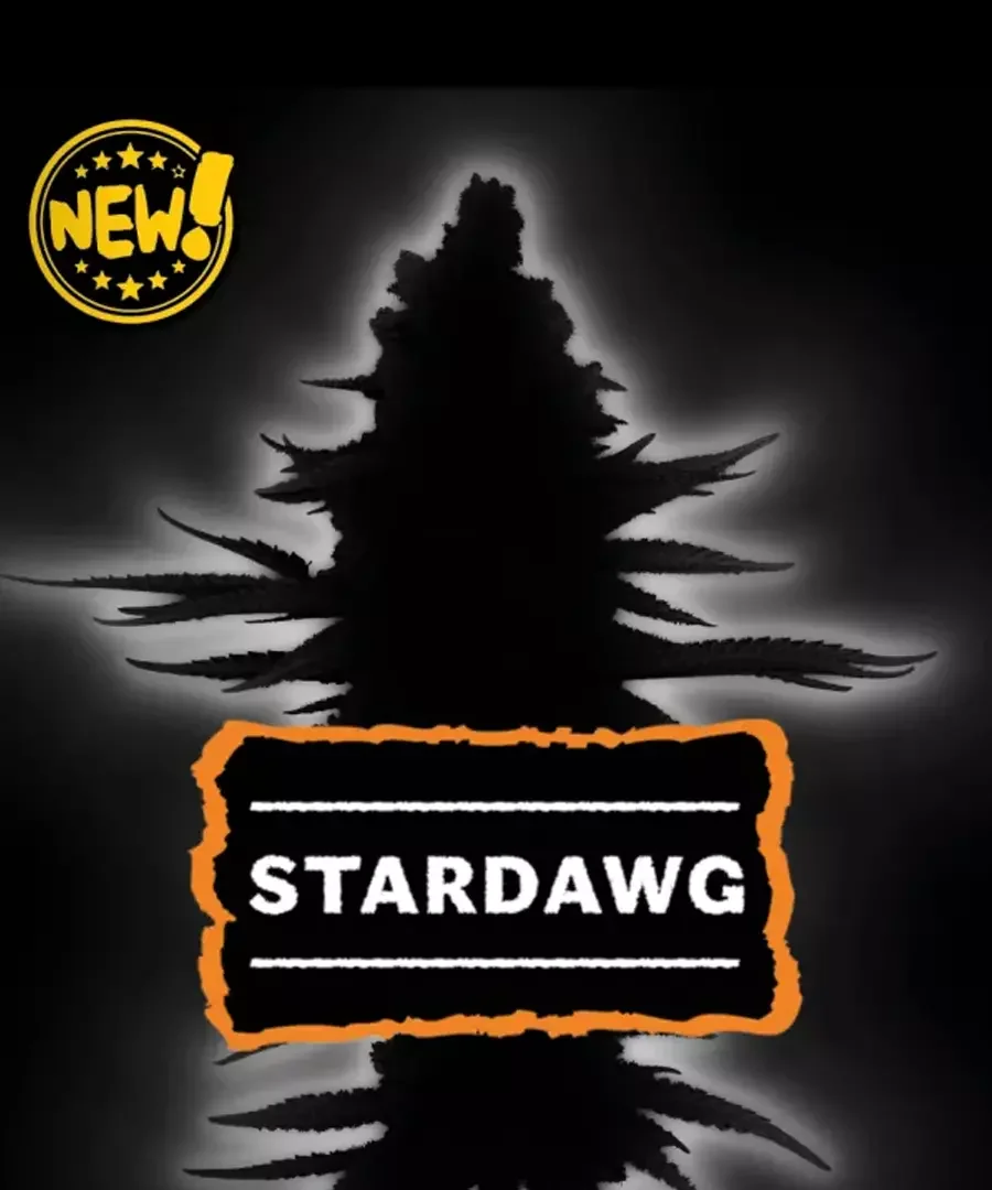 Stardawg 5