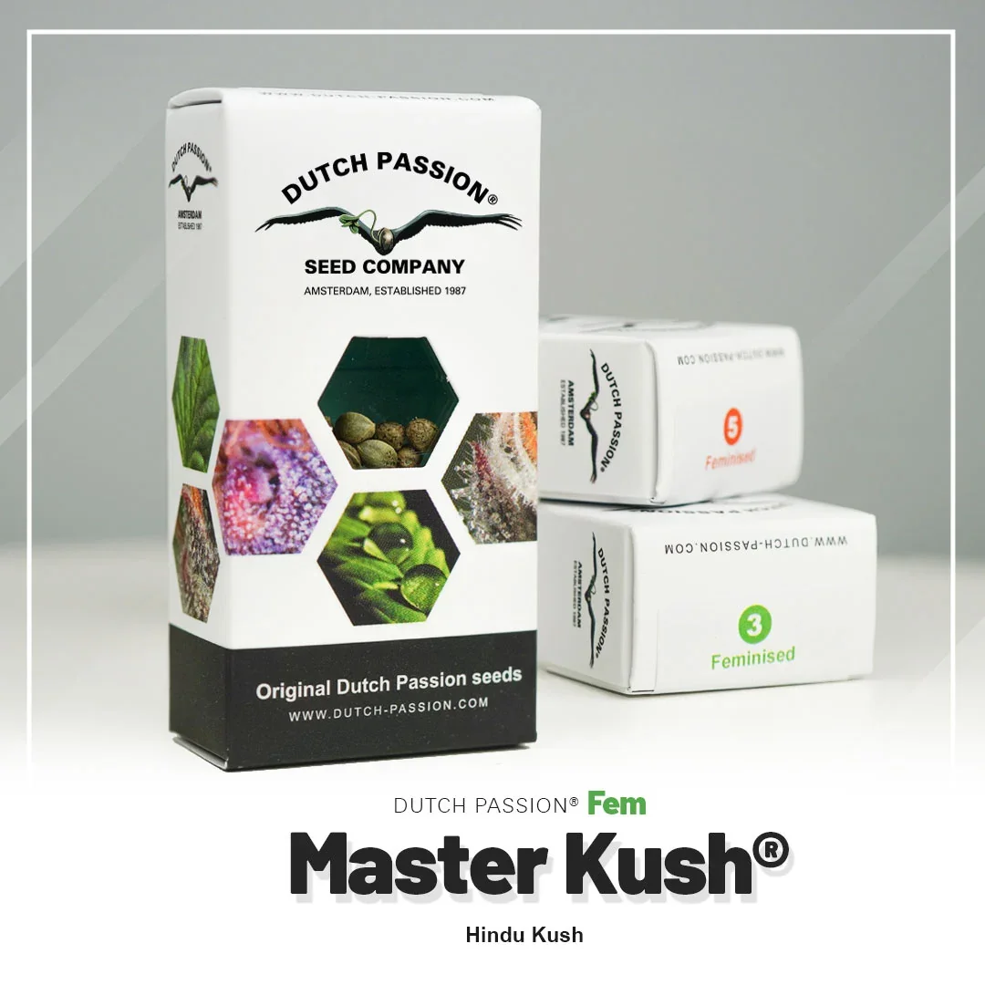 Masterkush