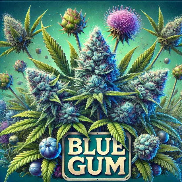 Blue Gem 2