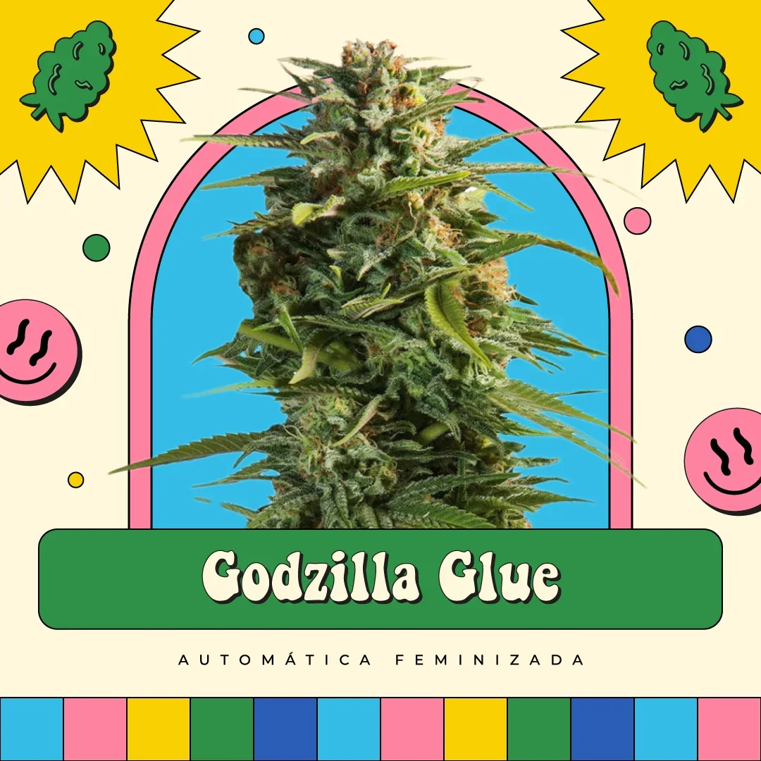 Gorilla Glue 4