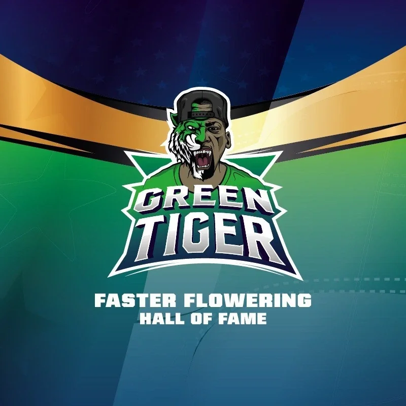 Green Tiger Faster 4