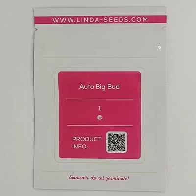 Big Bud 2