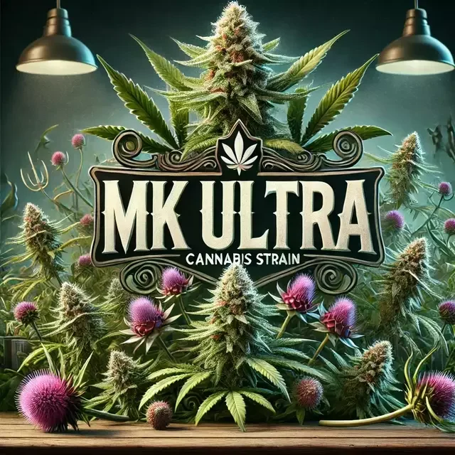 Mk Ultra 4