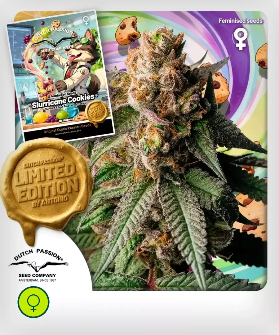 Slurricane Cookies