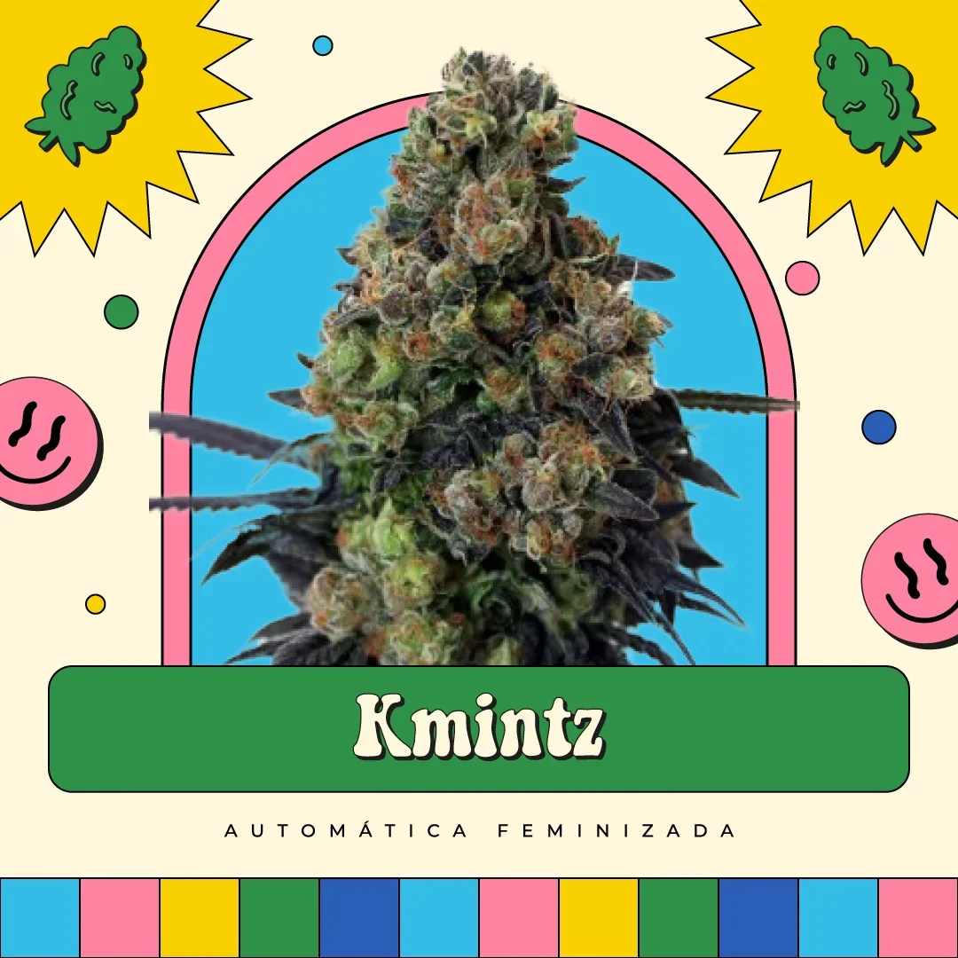 Kmintz