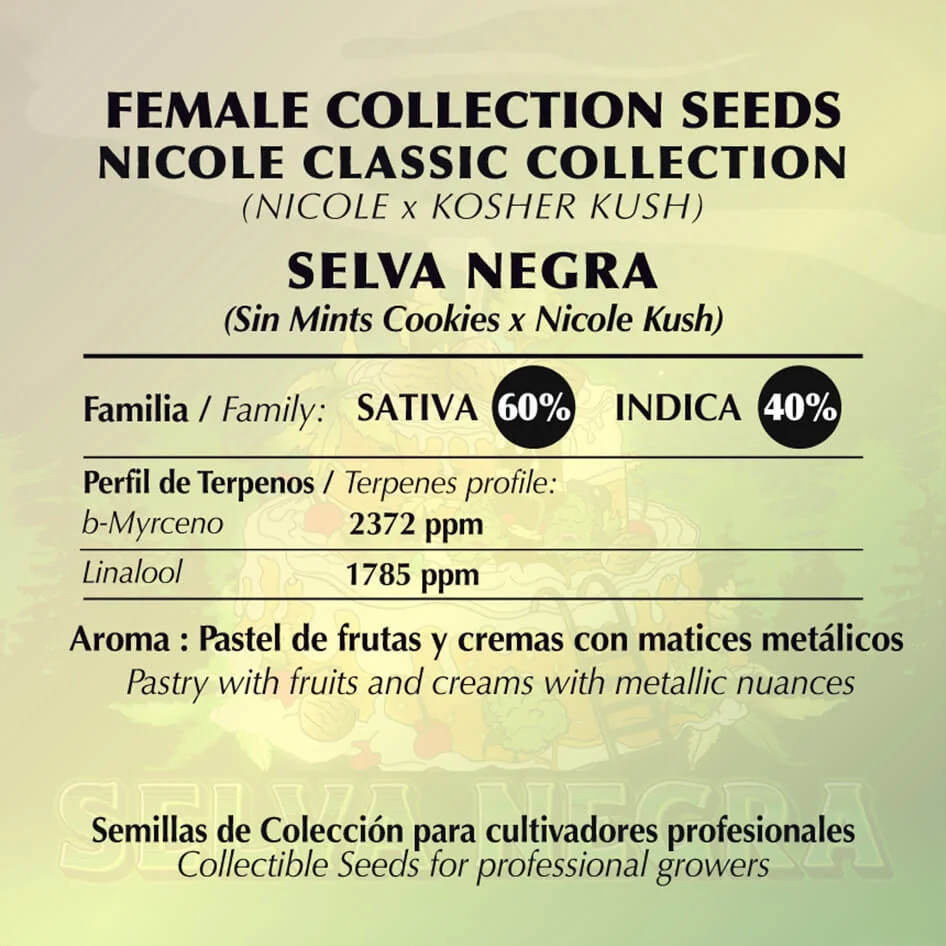 Selva Negra 2
