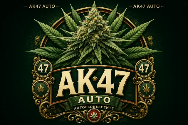 Ak 47