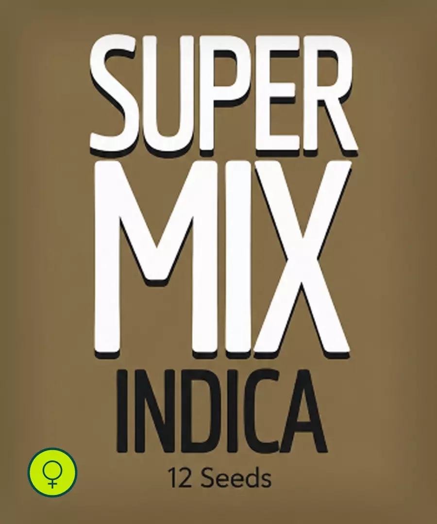 Super Mix Indica