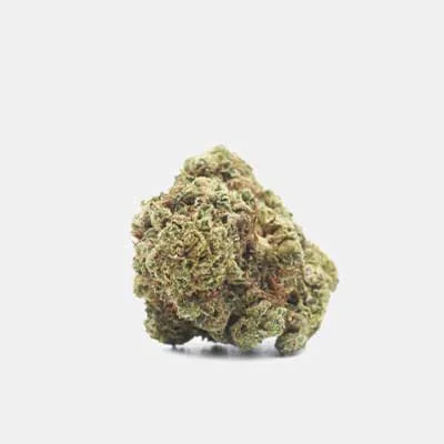 Gorilla 2