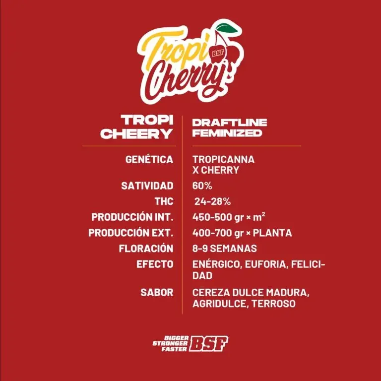 Tropi Cherry Bsf 2