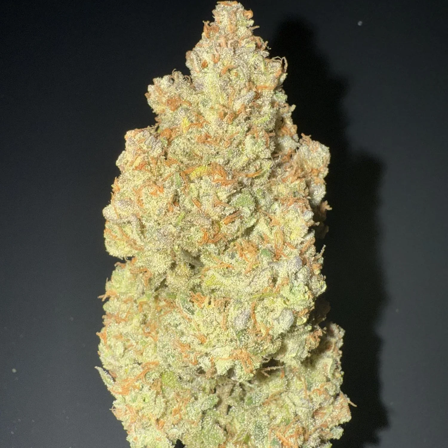 Altai Cbd 2