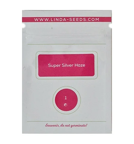 Super Silver Haze 2